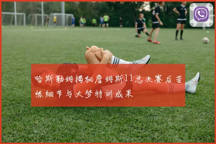 哈斯勒姆揭秘詹姆斯11总决赛后苦练细节与大梦特训成果